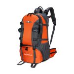 Fusce viverra velit sed male suada elem