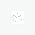 Phasellus eu enim tempor dapibus massa eu